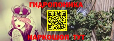 гашик Кимры