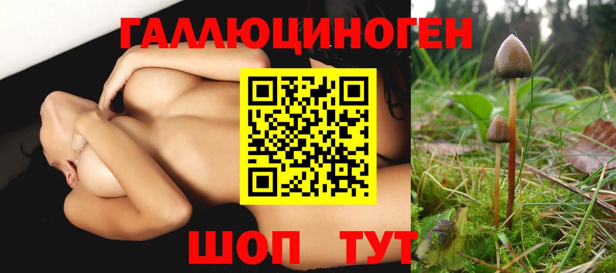Псилоцибиновые грибы MAGIC MUSHROOMS  Вход с VPN  Ступино 